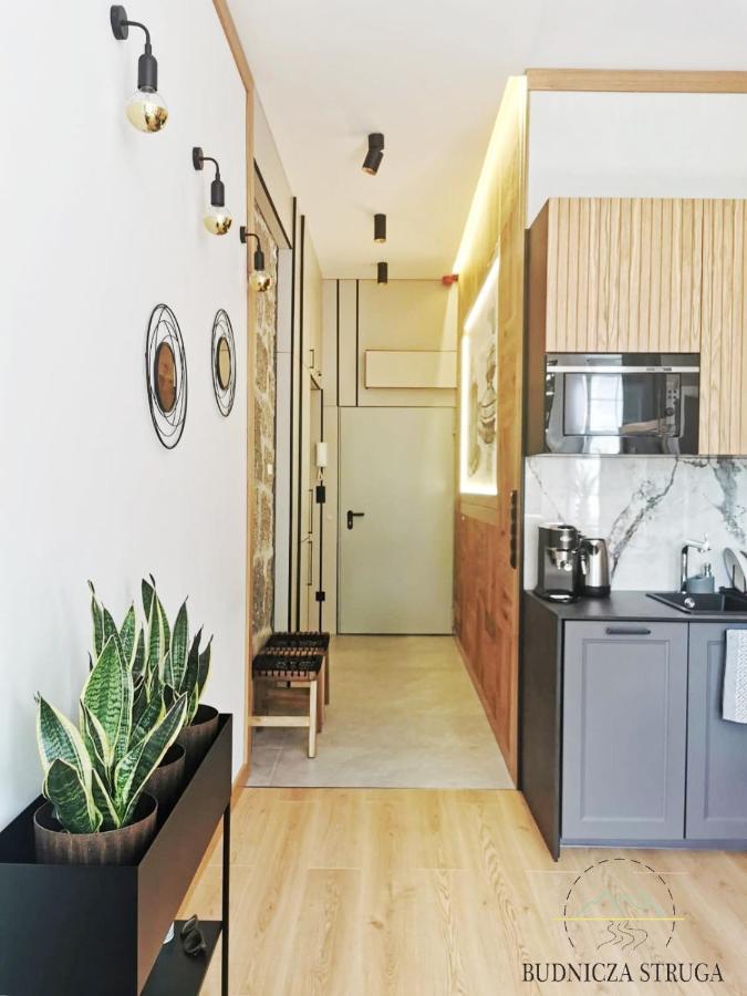 Apartament Budnicza Struga Z Sauna I Parkingiem - 5D Apartamenty Karpacz Exterior foto